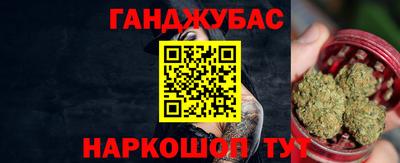 индика Дубна