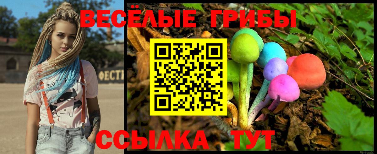 Галлюциногенные грибы Cubensis  Вход с VPN  Моздок  Галлюциногенные грибы Cubensis 